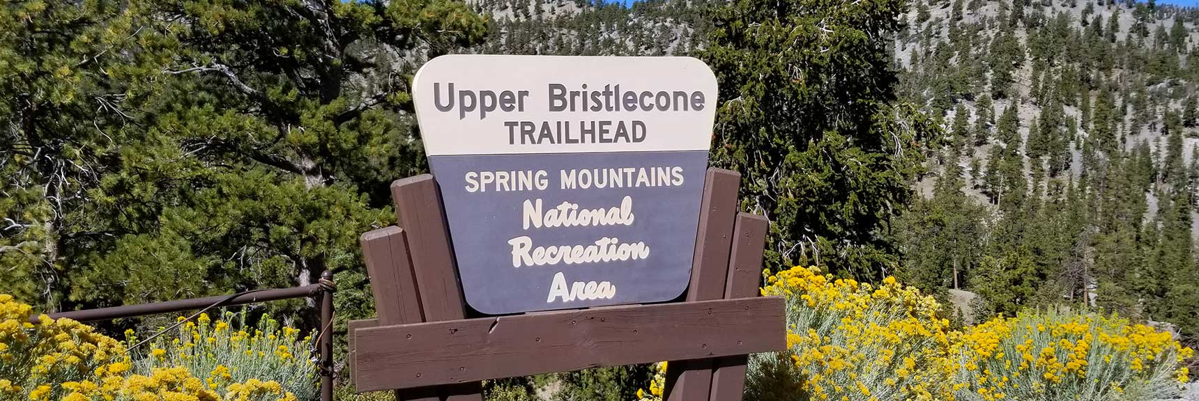 Bristlecone Pine Trail Trailhead in Lee Canyon, Mt. Charleston Wilderness, Nevada