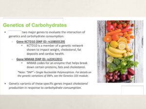 Designer Nutrition Plan Based on Your DNA Profile, Webinar in Series Achieving Your Optimal Health, Presenter - Michele Ciancimino, Certified Fitness Nutrition Specialist, Slide 008
