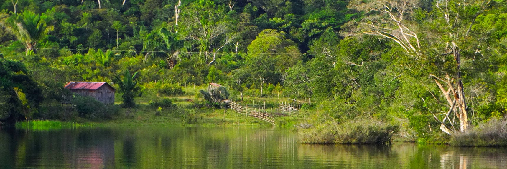 Amazonas Brazil Ecotourism Discounts