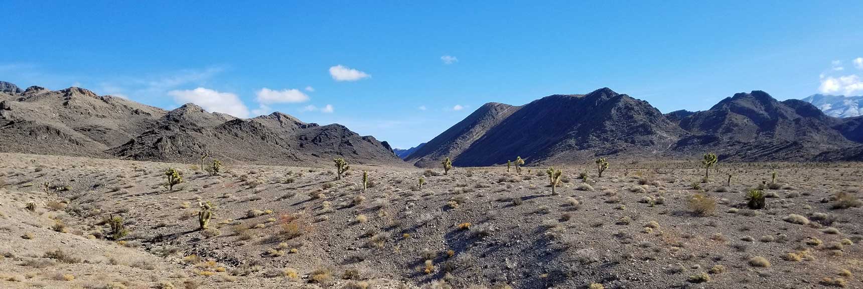 North Fossil Ridge Passage in the Desert National Wildlife Refuge, Nevada