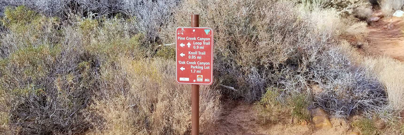 Small Part of the Trail System in Pine Creek Canyon, Red Rock National Park, Nevada