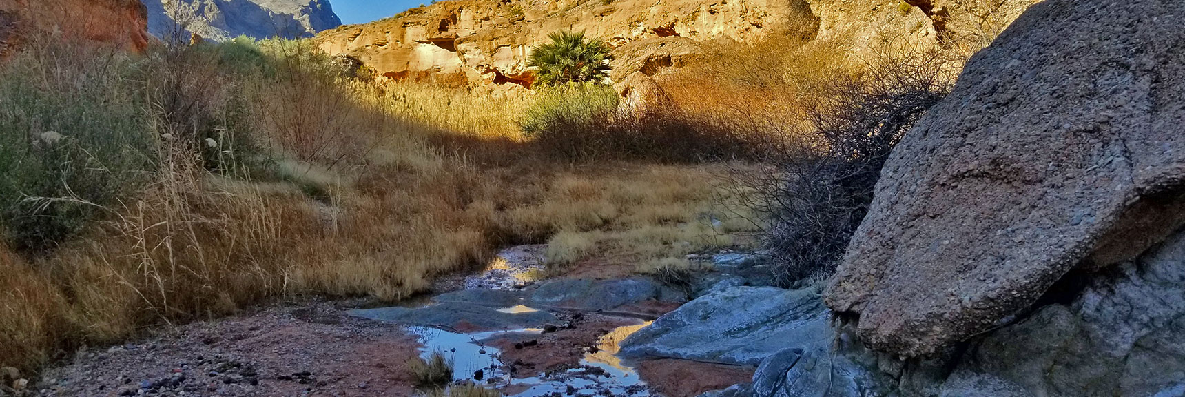 Charlie's Spring Oasis on Charlie's Spring Trail, Valley of Fire State Park, Nevada