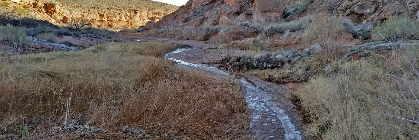 Traveling Beyond the Oasis on Charlie's Spring Trail, Valley of Fire State Park, Nevada