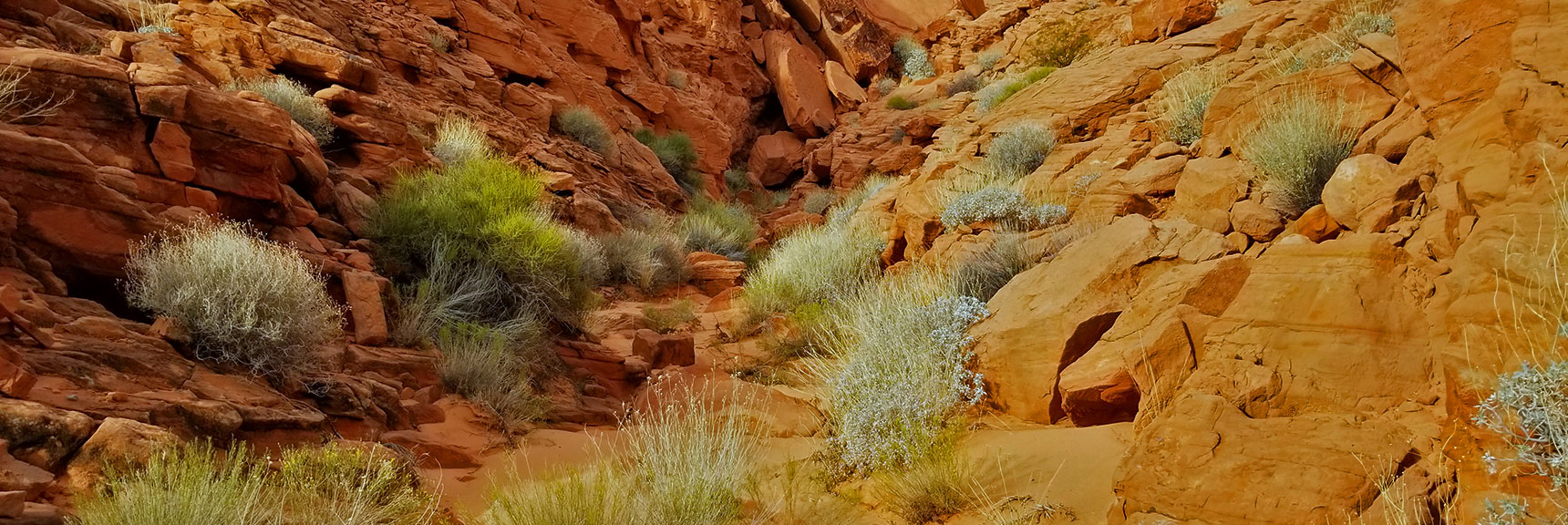 Entering Fire Canyon from Rainbow Vista Trail Overlook in Valley of Fire State Park, Nevada