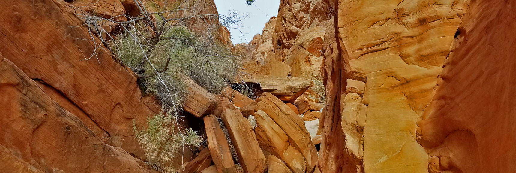 Obstacles to Cross in Fire Canyon in Valley of Fire State Park, Nevada