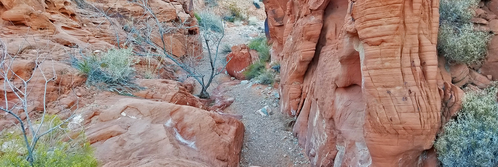 Descending into the Northern Canyon Wash on Prospect Trail in Valley of Fire State Park, Nevada