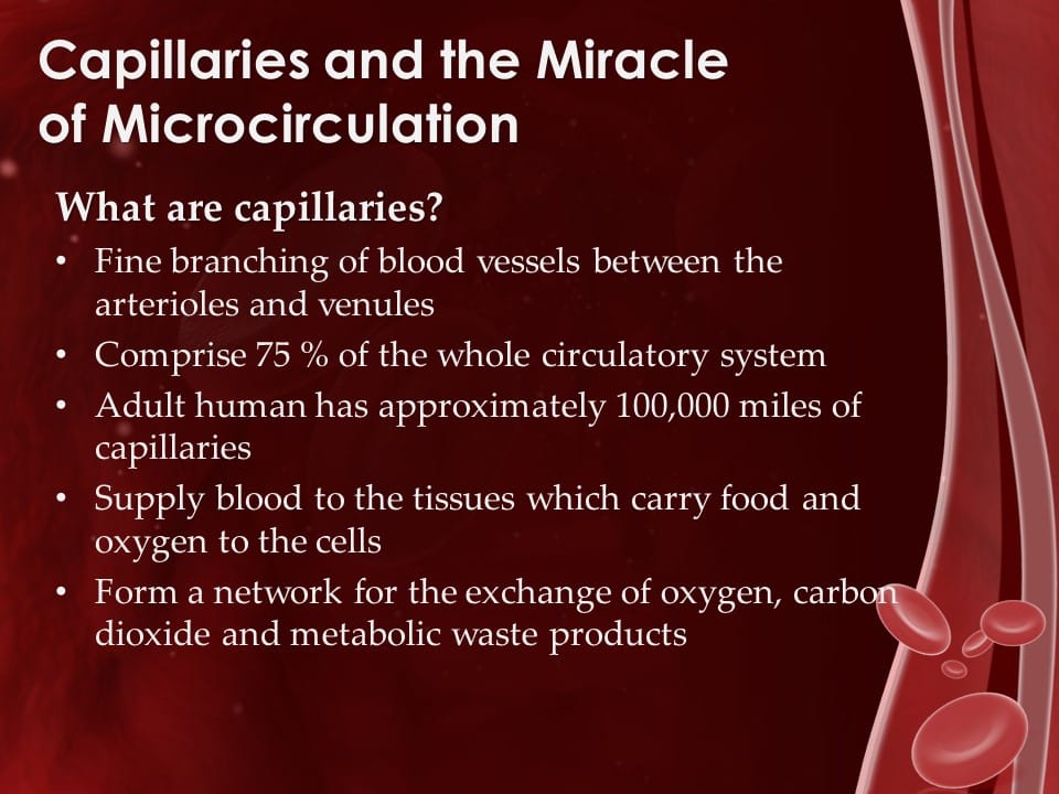 Boosting the Miracle of Microcirculation, Webinar in the Series Achieving Your Optimal Health, Presented by Dr. Denise Tropea, DPM Slide 010