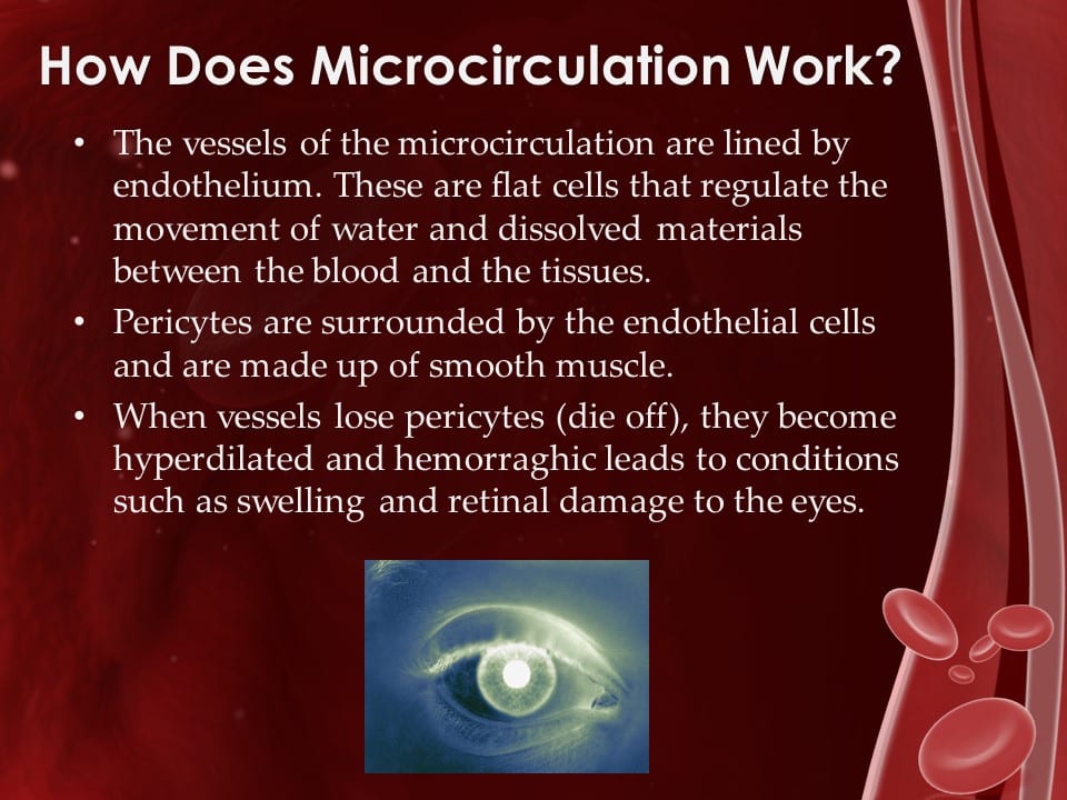 Boosting the Miracle of Microcirculation, Webinar in the Series Achieving Your Optimal Health, Presented by Dr. Denise Tropea, DPM Slide 007