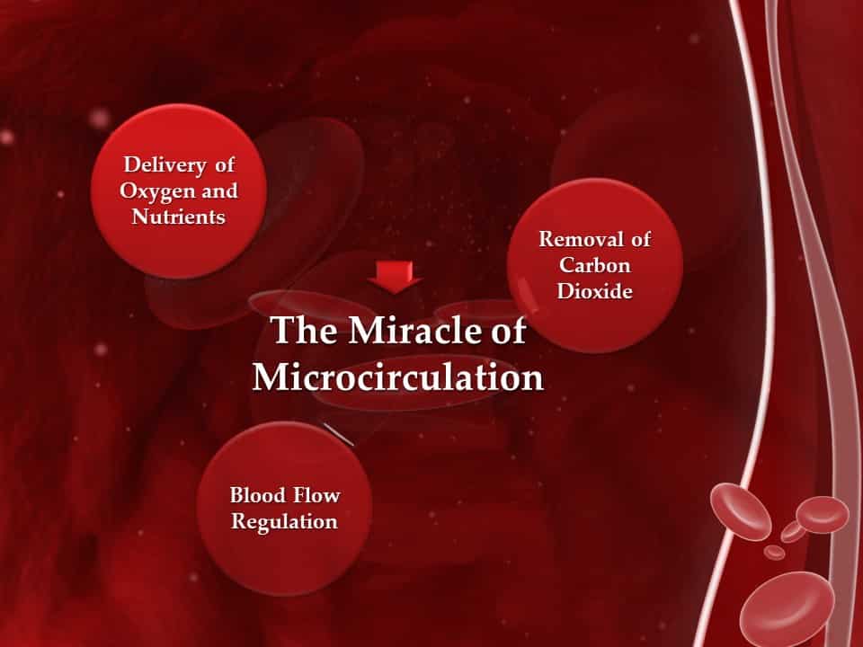 Boosting the Miracle of Microcirculation, Webinar in the Series Achieving Your Optimal Health, Presented by Dr. Denise Tropea, DPM Slide 008