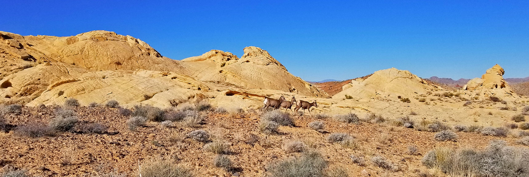 View from the Southwest of Silica Dome in Valley of Fire State Park, Nevada