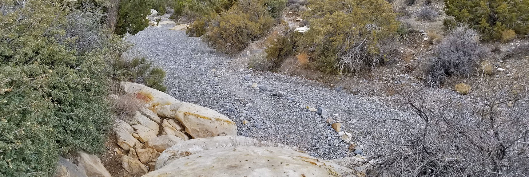 Crossing a Wash at White Rock Mountain Loop in Red Rock Park, Nevada