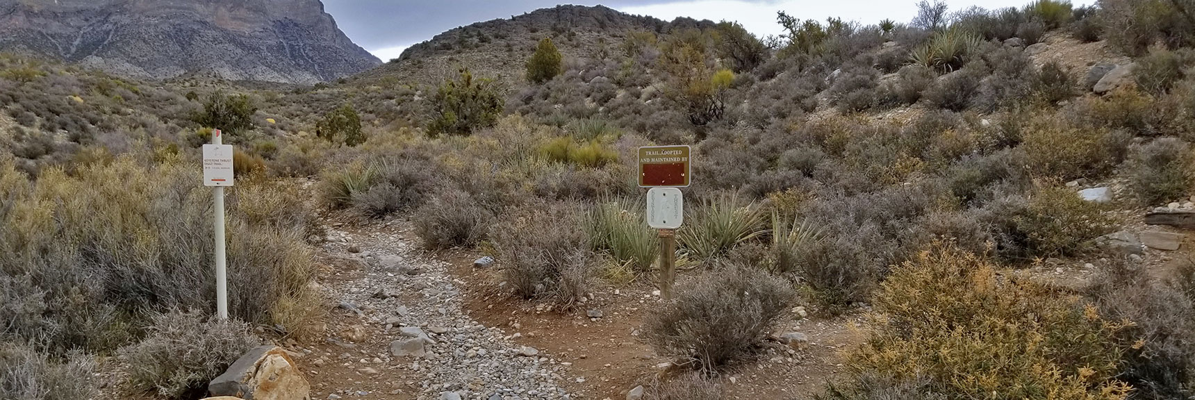 Keystone Thurst Trail and White Rock Mountain Loop Trail Divide at White Rock Mountain Loop in Red Rock Park, Nevada
