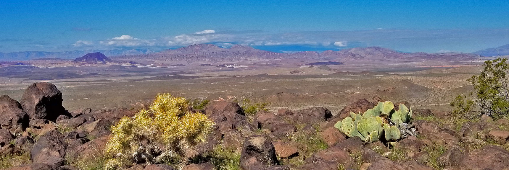View West Toward Frenchman Mountain from Black Mesa in Lake Mead National Recreation Area, Nevada