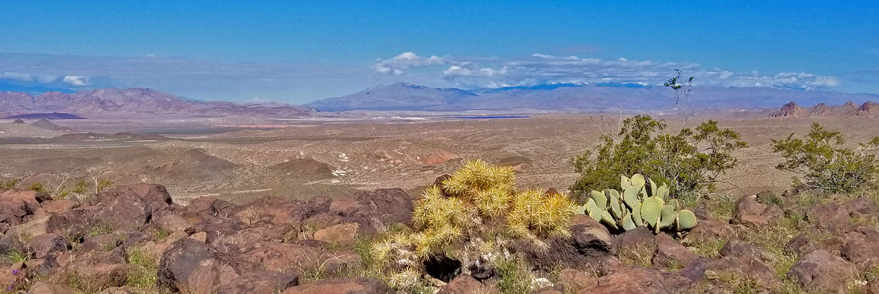 View Northwest Toward Gass Peak from Black Mesa in Lake Mead National Recreation Area, Nevada