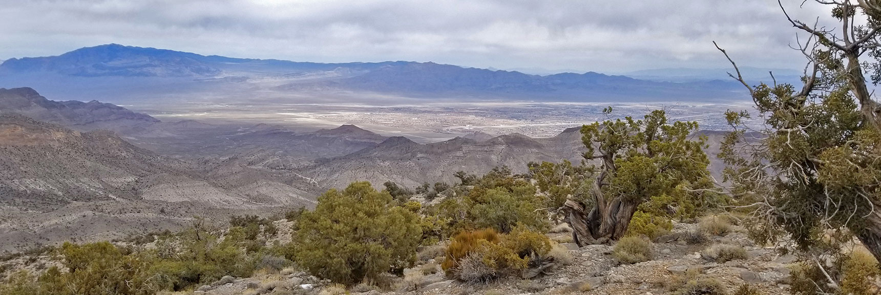 Damsel Peak Summit in Calico Basin, Nevada 004