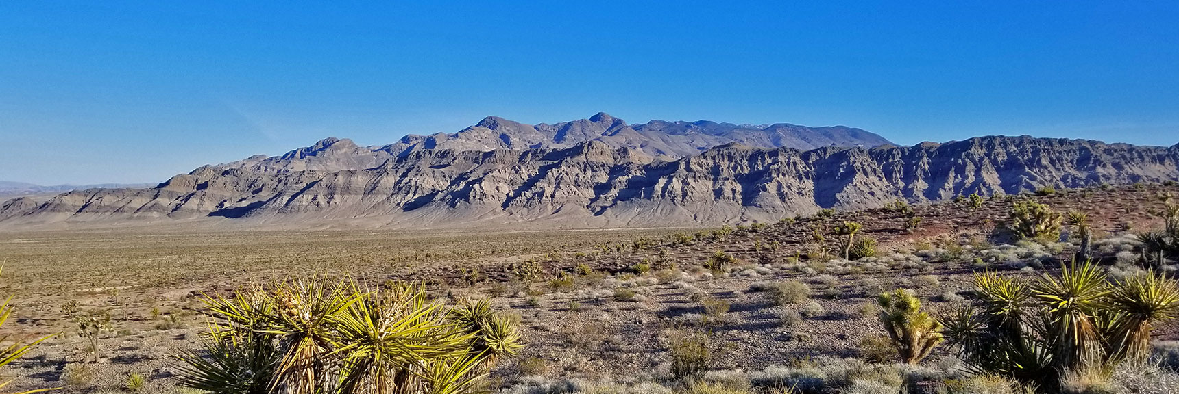 First View of Fossil Ridge and the Sheep Range North of Gass Peak | Gass Peak Eastern Summit Ultra-marathon Adventure, Nevada