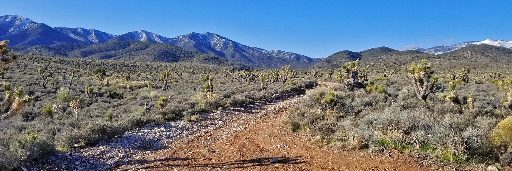 Heading Up 4wd Road Toward North Side of La Madre Mt. Nevada