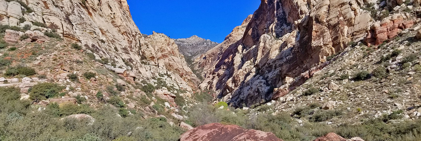 First Creek Canyon Between Indecision Peak and Mt. Wilson in Rainbow Mountain Wilderness, Nevada