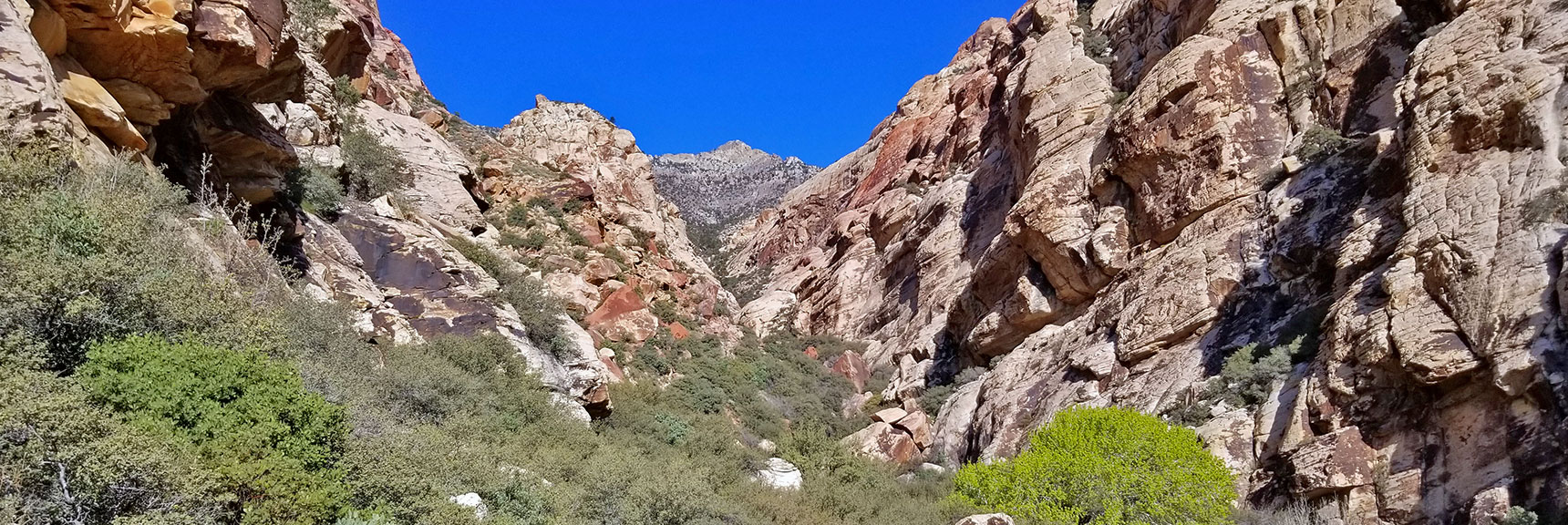 First Creek Canyon Between Indecision Peak and Mt. Wilson in Rainbow Mountain Wilderness, Nevada