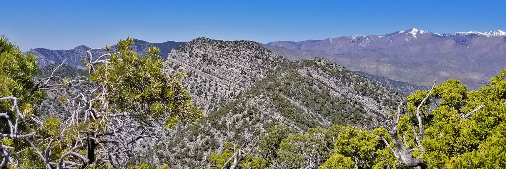 Keystone Thrust Looking West from Near El Padre Mountain, La Madre Mountains Wilderness, Nevada