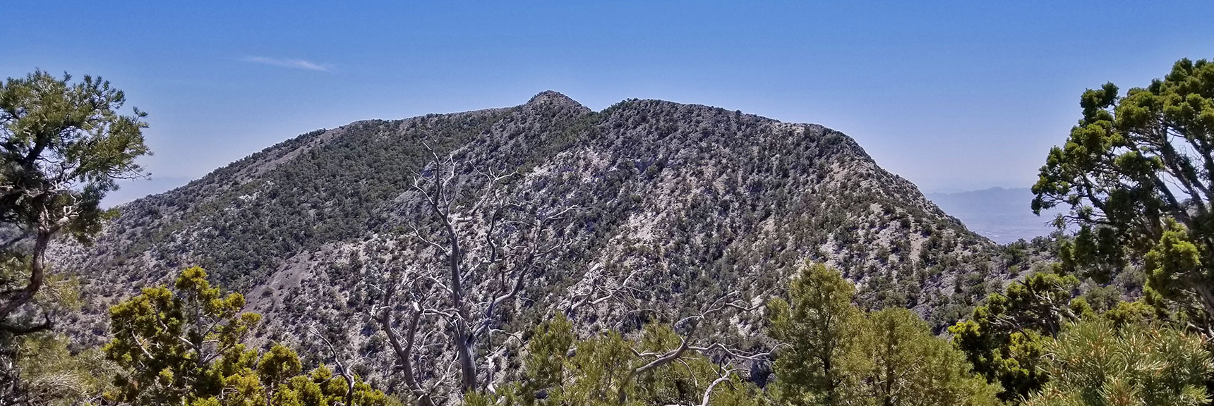 North Western View of El Padre Mountain, La Madre Mountains Wilderness, Nevada