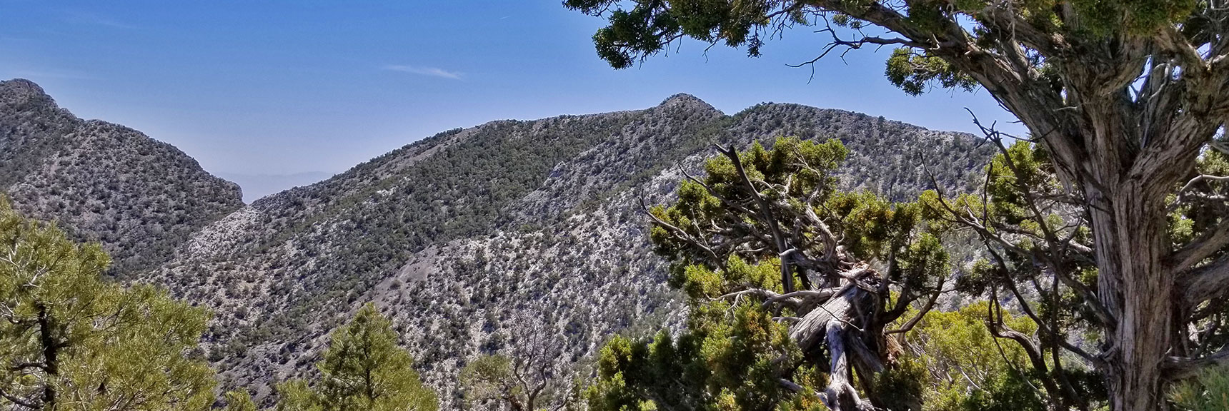 Northwestern View of El Padre Mountain, La Madre Mountains Wilderness, Nevada