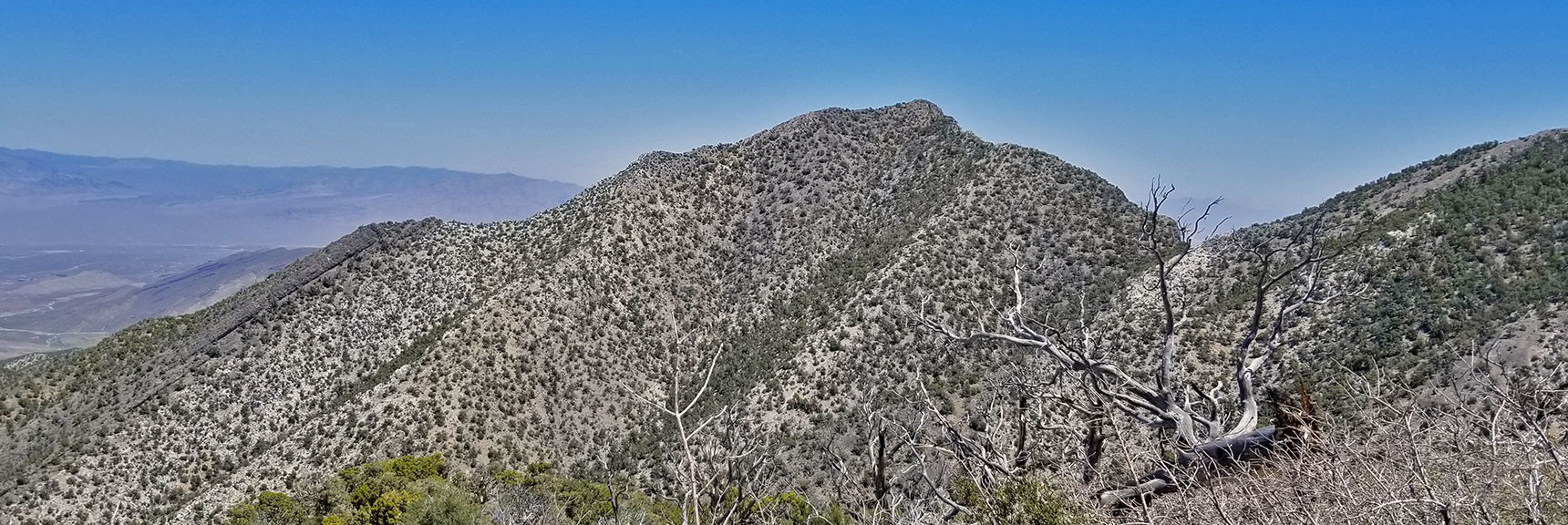 La Madre Mountain Viewed from Keystone Thrust Just West of El Padre Mountain, La Madre Mountains Wilderness, Nevada
