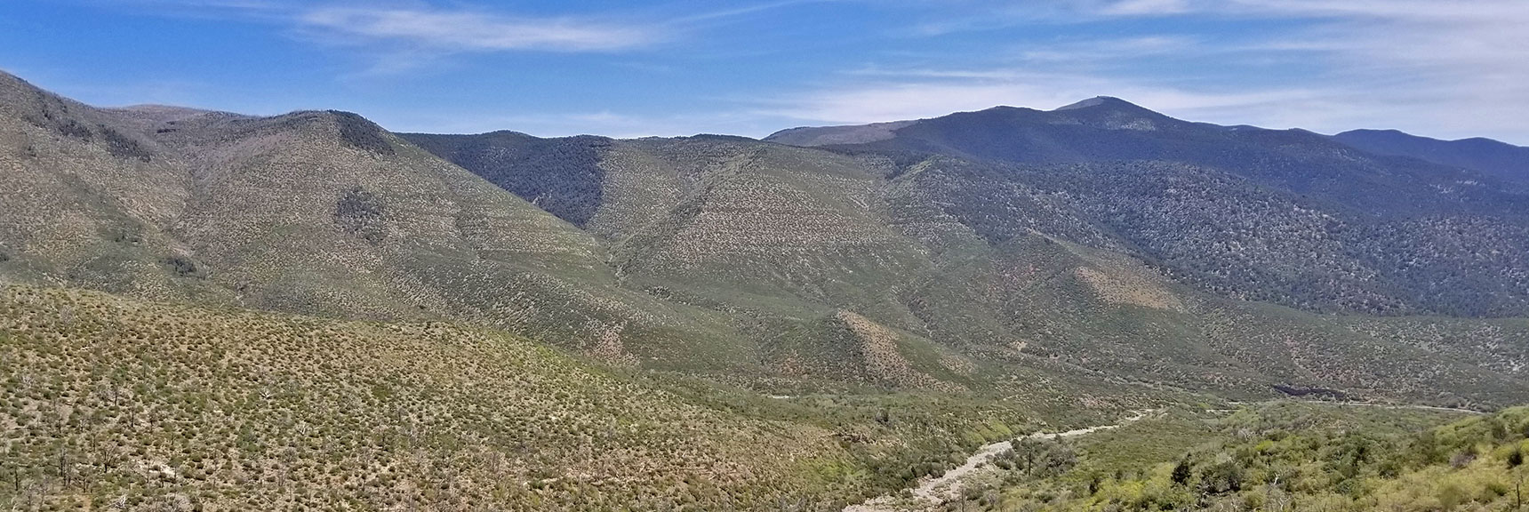 View Down Lovell Canyon from Griffith Shadow Trail, La Madre Mountains Wilderness, Nevada
