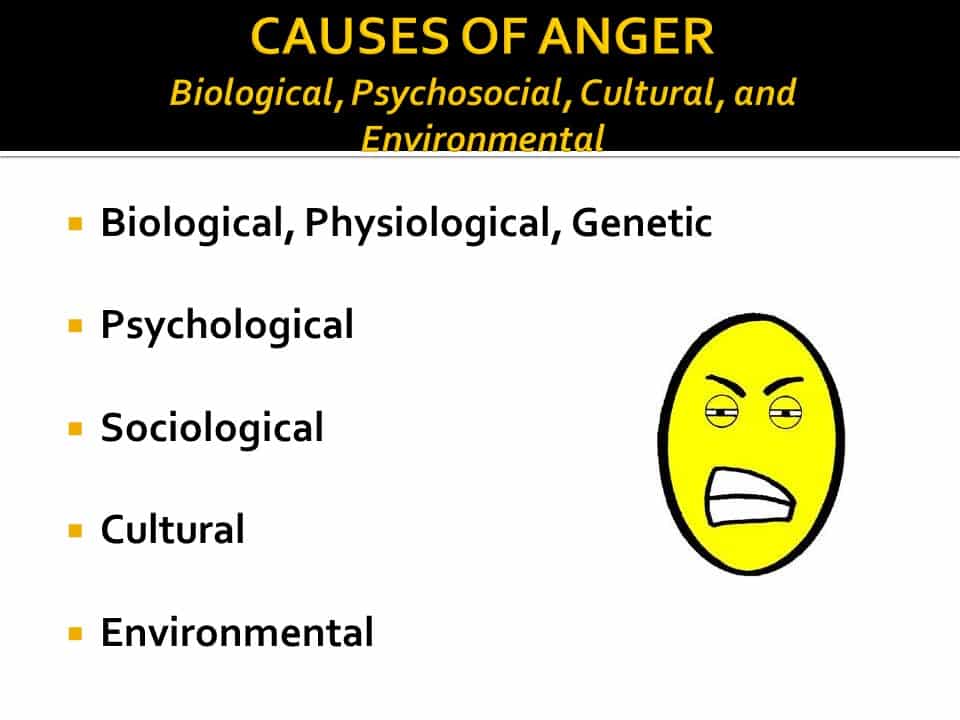 Dr. Vicki Coleman, The Anger Doctor | Anger Management Webinar in Achieving Your Optimal Health Series | Slide 11