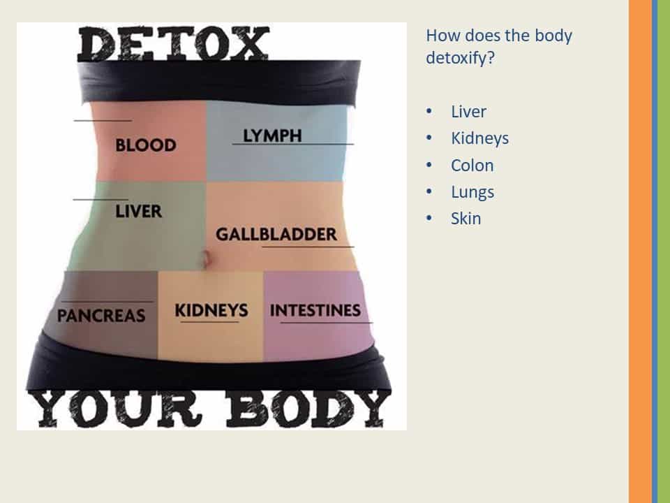 Value and Strategy of Detox | Webinar by Michele Ciancimino in Series Achieving Your Optimal Health | Slide 013