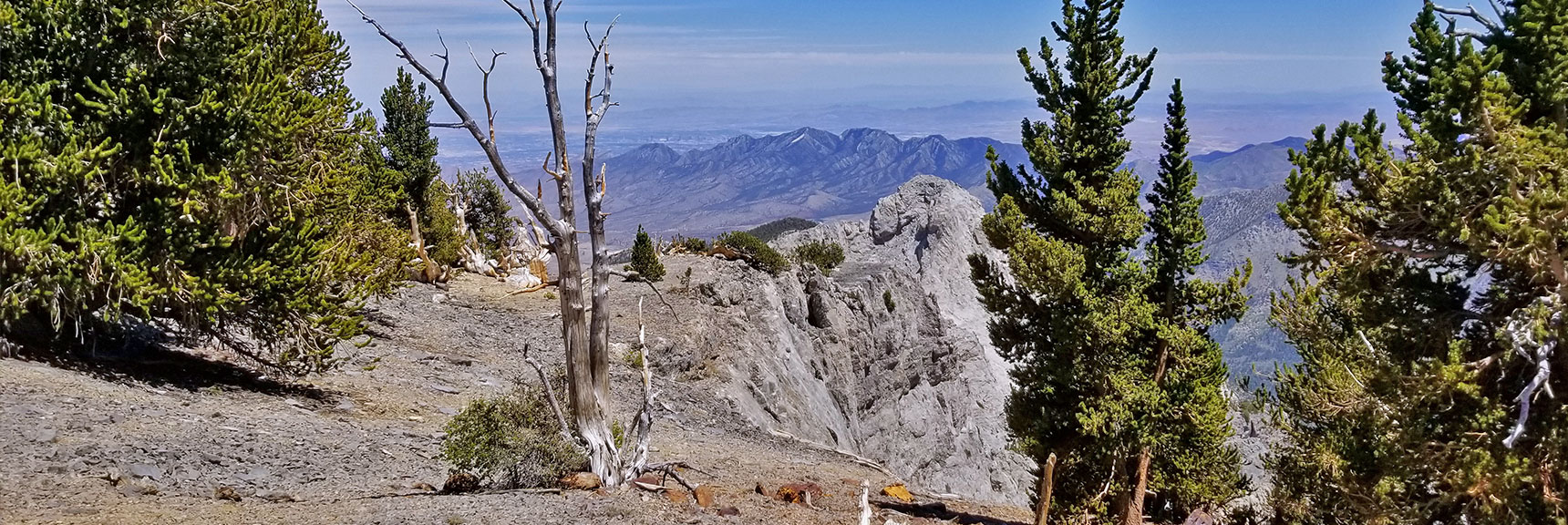 View Toward La Madre Mountain | Mummy Mountain Nevada Northeast Approach