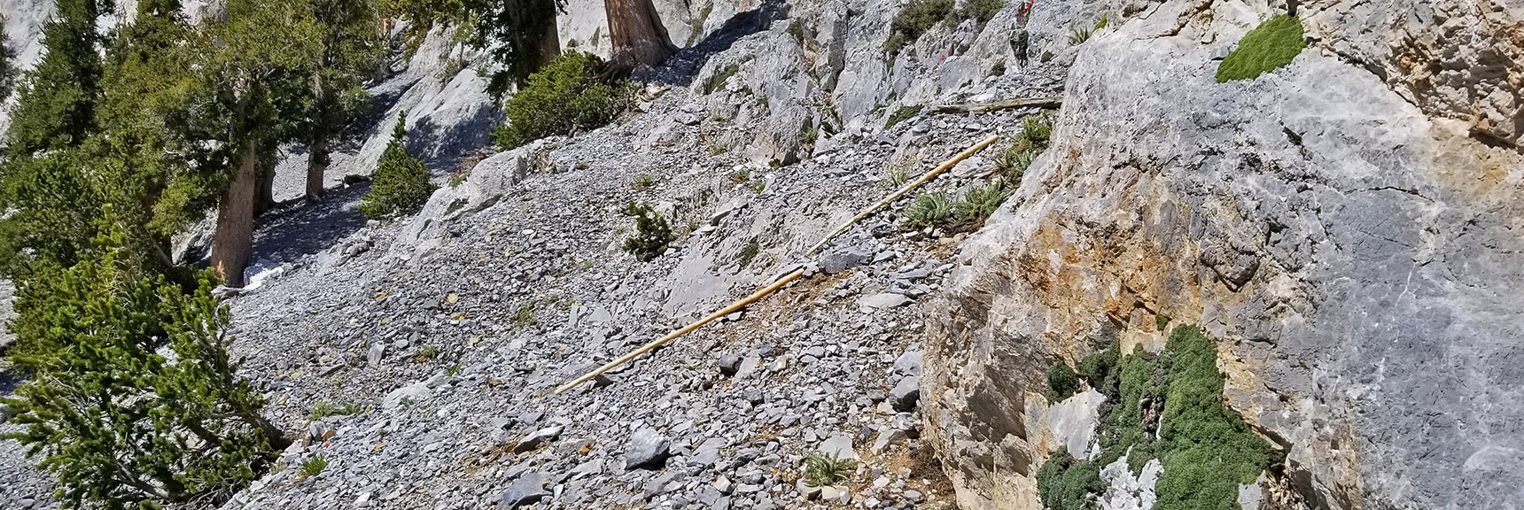 Hiking Poles Retrieved from Last Week's Adventure | Mummy Mountain Northeast Approach Wilderness Navigation, Nevada