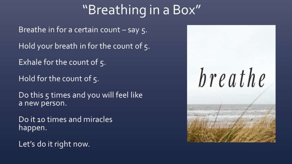 Dianna Whitley | Hypnotherapist | Top 5 Tools to Reduce Stress and Anxiety | Webinar in Achieving Your Optimal Health Webinar Series | Slide 15