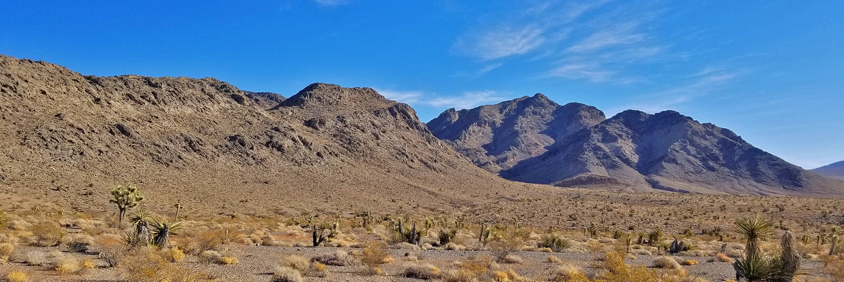 Southwest Edge of Fossil Ridge and North Side of Gass Peak | Gass Peak Road Circuit | Desert National Wildlife Refuge | Nevada