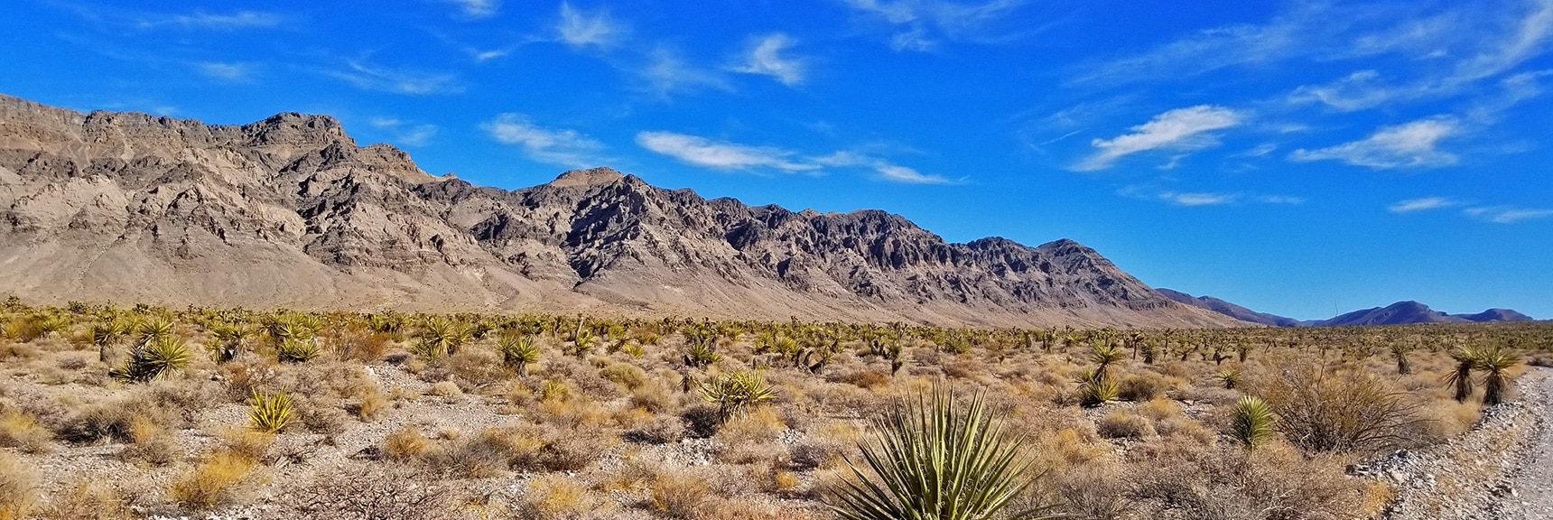 Southeast Side of Fossil Ridge from Gass Peak Road | Gass Peak Road Circuit | Desert National Wildlife Refuge | Nevada