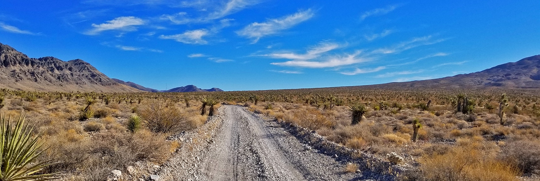 View East Up Gass Peak Road | Gass Peak Road Circuit | Desert National Wildlife Refuge | Nevada