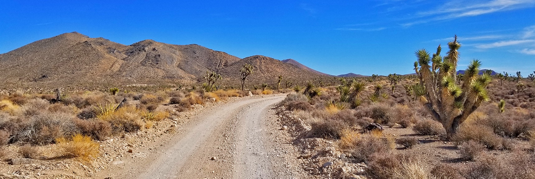 View East on Gass Peak Road Near Trailhead | Gass Peak Road Circuit | Desert National Wildlife Refuge | Nevada