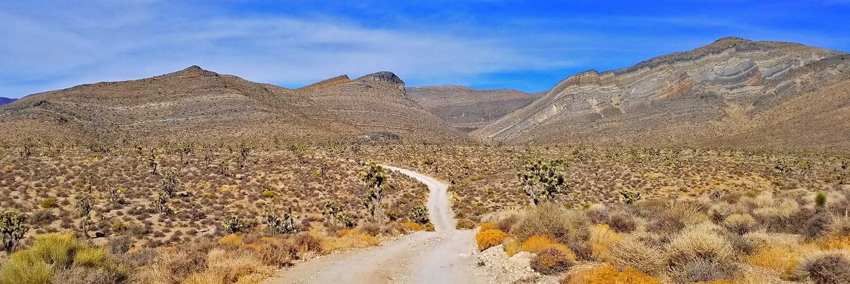 View Toward Fossil Ridge from Near Gass Peak Trailhead. Ancient Layers Etched in Hillside | Gass Peak Road Circuit | Desert National Wildlife Refuge | Nevada