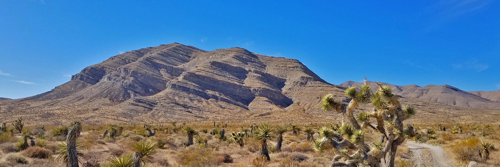 Layers of Ancient Silt in Hillside | Gass Peak Road Circuit | Desert National Wildlife Refuge | Nevada