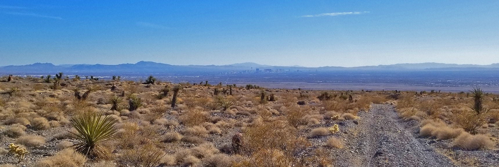 Las Vegas Strip Coming Into View | Gass Peak Road Circuit | Desert National Wildlife Refuge | Nevada