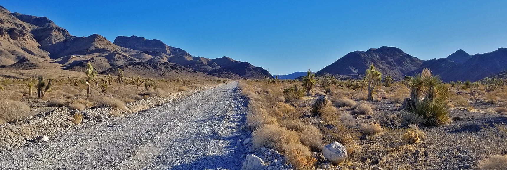 View Up Mormon Well Road Through Yucca Gap | Lower Mormon Well Road | Sheep Range, Desert National Wildlife Refuge, Nevada