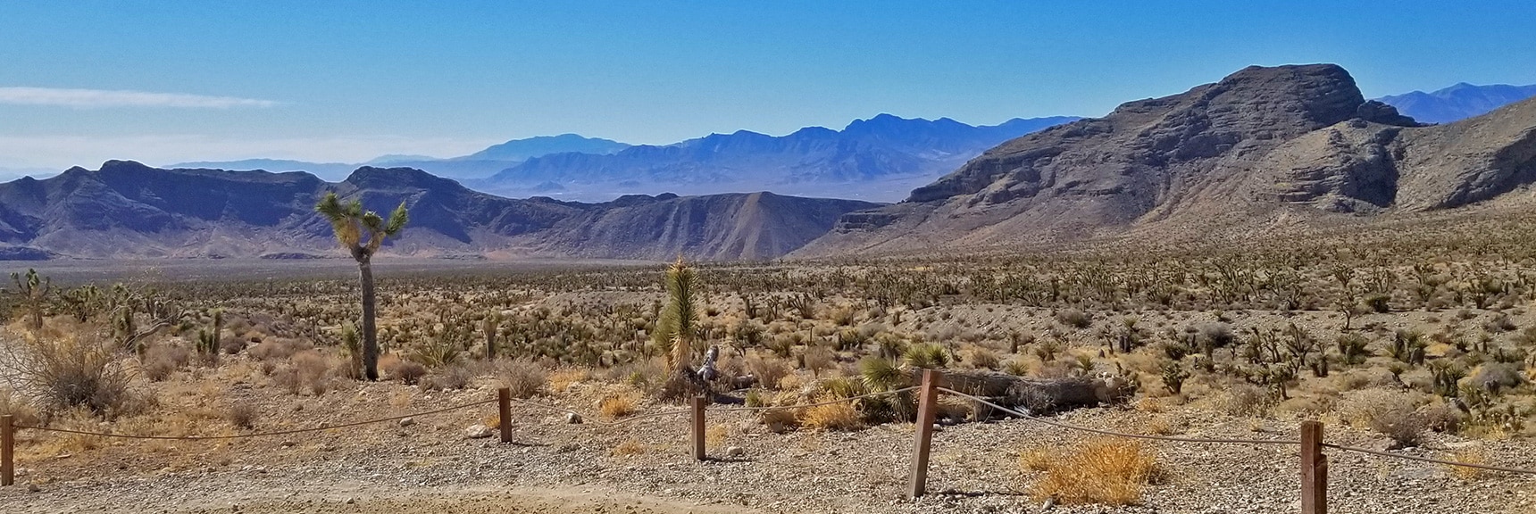 La Madre Mountains Wilderness Viewed from Mormon Well Road | Lower Mormon Well Road | Sheep Range, Desert National Wildlife Refuge, Nevada