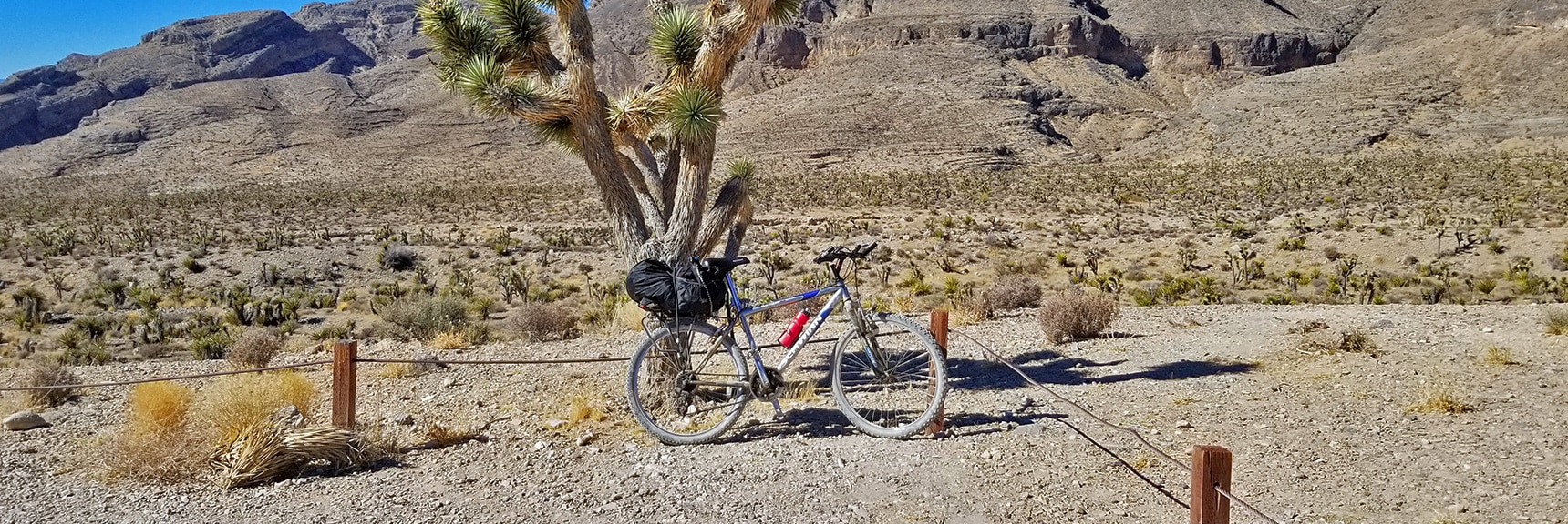 Mountain Bike Resting on Joshua Tree at a Mormon Well Road Highlight | Lower Mormon Well Road | Sheep Range, Desert National Wildlife Refuge, Nevada