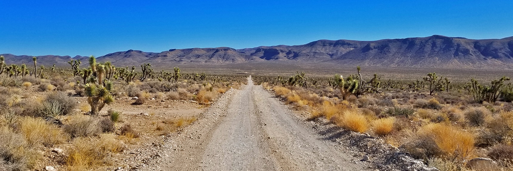 View Up Mormon Well Road Across Sheep Range Valley | Lower Mormon Well Road | Sheep Range, Desert National Wildlife Refuge, Nevada