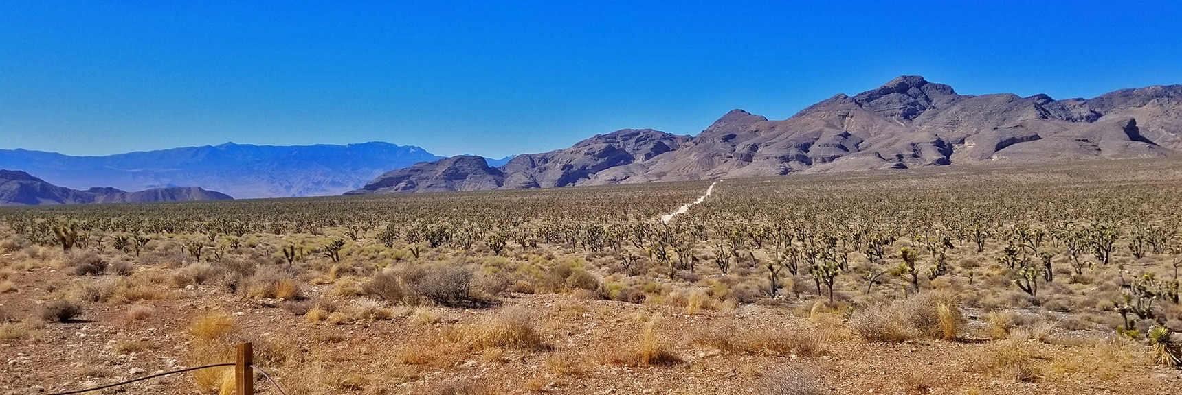 View Back Down Mormon Well Road Toward Sheep Range | Lower Mormon Well Road | Sheep Range, Desert National Wildlife Refuge, Nevada