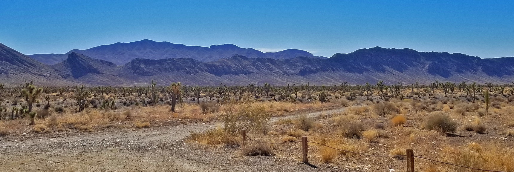 View Toward Northern Sheep Range at Pine Nut Road Intersection | Lower Mormon Well Road | Sheep Range, Desert National Wildlife Refuge, Nevada