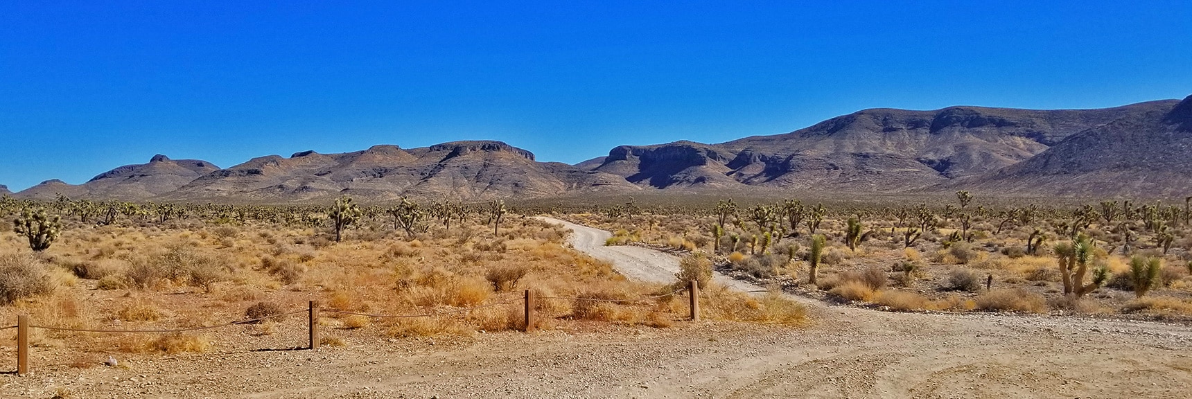 View Up Mormon Well Road Beyond Pine Nut Road | Lower Mormon Well Road | Sheep Range, Desert National Wildlife Refuge, Nevada