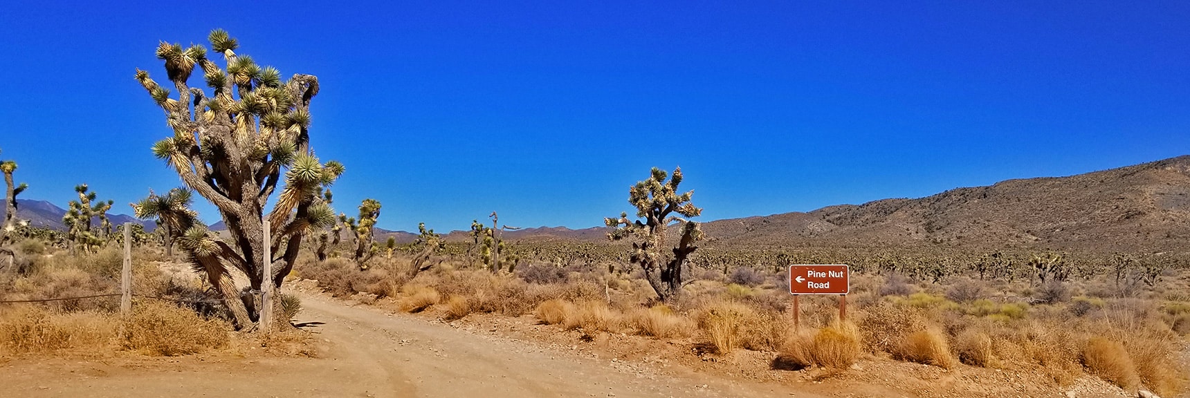 View Up Pine Nut Road | Lower Mormon Well Road | Sheep Range, Desert National Wildlife Refuge, Nevada