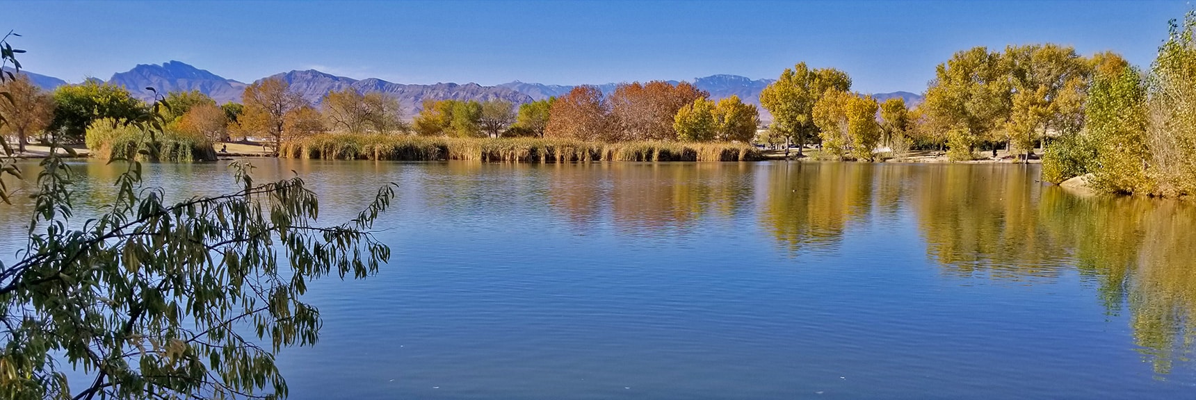 Tule Lake at Floyd Lamb Park, Location for Fishing | Centennial Hills Mountain Bike Conditioning Adventure Loop, Las Vegas, Nevada