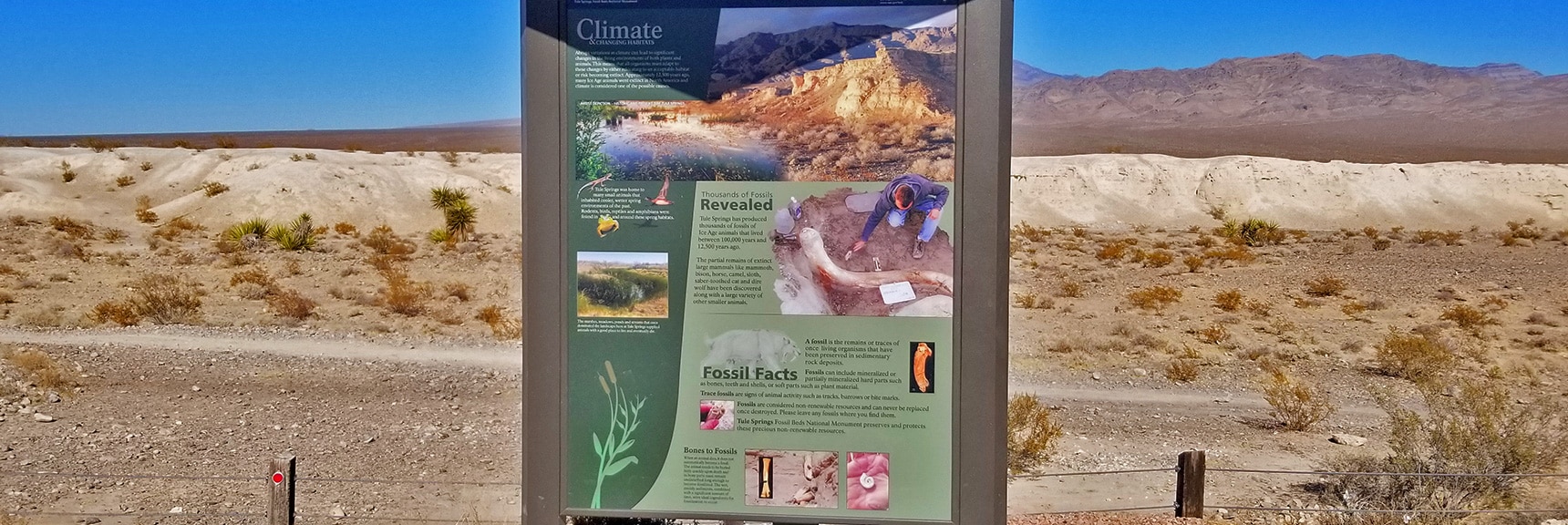 Tule Springs Fossil Beds National Monument at the North End of Durango | Centennial Hills Mountain Bike Conditioning Adventure Loop, Las Vegas, Nevada